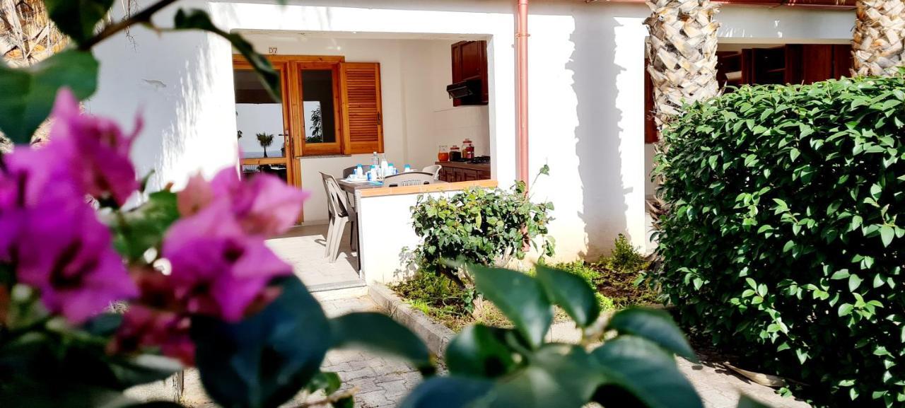 كابو فاتيكانو Ninfa Sul Mare Apartments 50 M E T R I Dal Mare Parcheggio Gratuito Custodito المظهر الخارجي الصورة