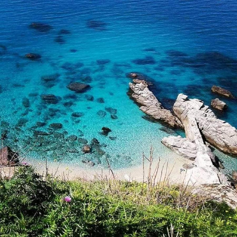 كابو فاتيكانو Ninfa Sul Mare Apartments 50 M E T R I Dal Mare Parcheggio Gratuito Custodito المظهر الخارجي الصورة