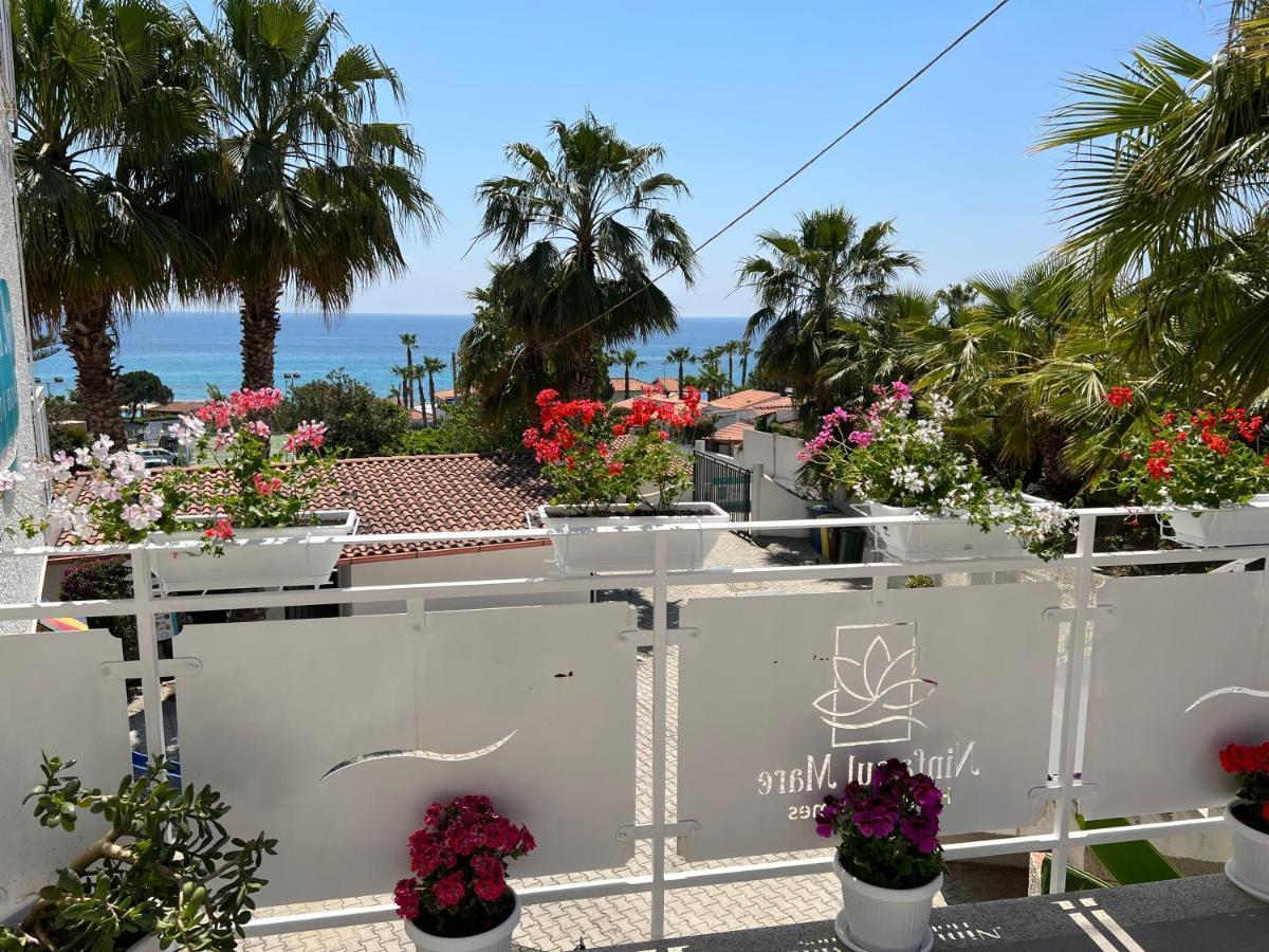 كابو فاتيكانو Ninfa Sul Mare Apartments 50 M E T R I Dal Mare Parcheggio Gratuito Custodito المظهر الخارجي الصورة
